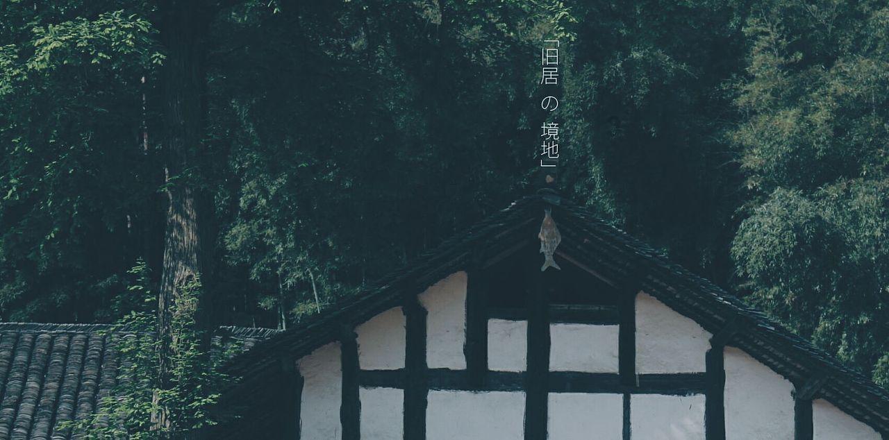 粗粮那么多，农敢网哪一款适合你？