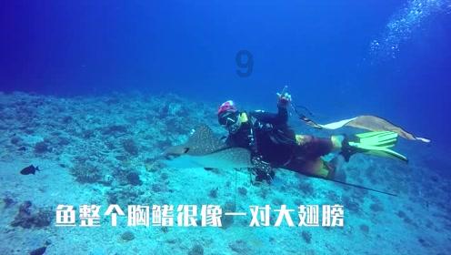 拯救活力男孩