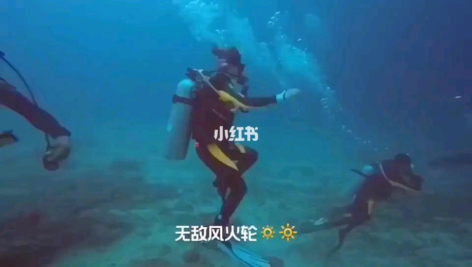 无牌农用三轮掉头未让直行酿事故