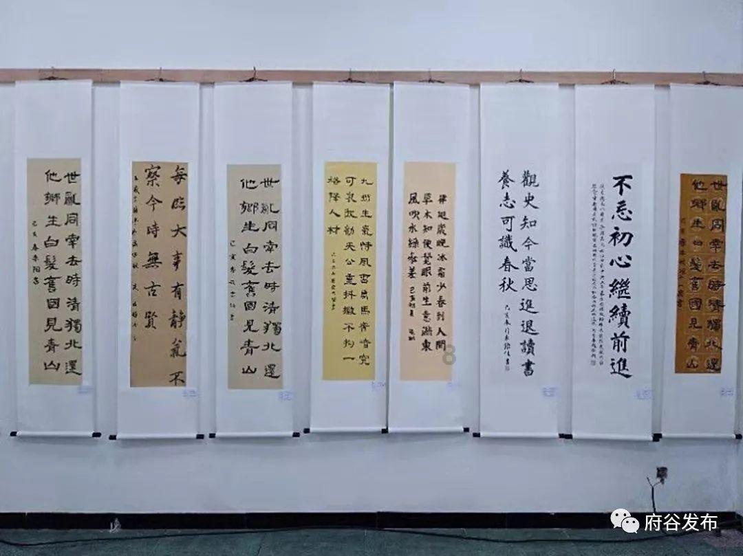 狐狸的旅程