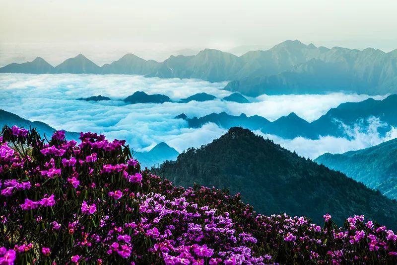 吸血鬼的谜语