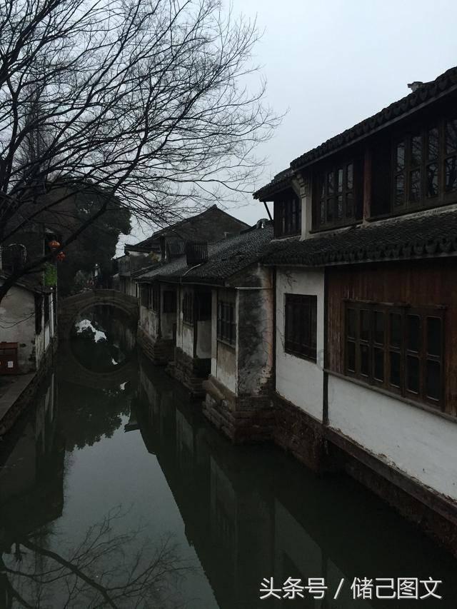 培育“西学中”高层次人才