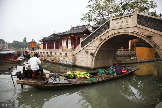 逃出小象森林
