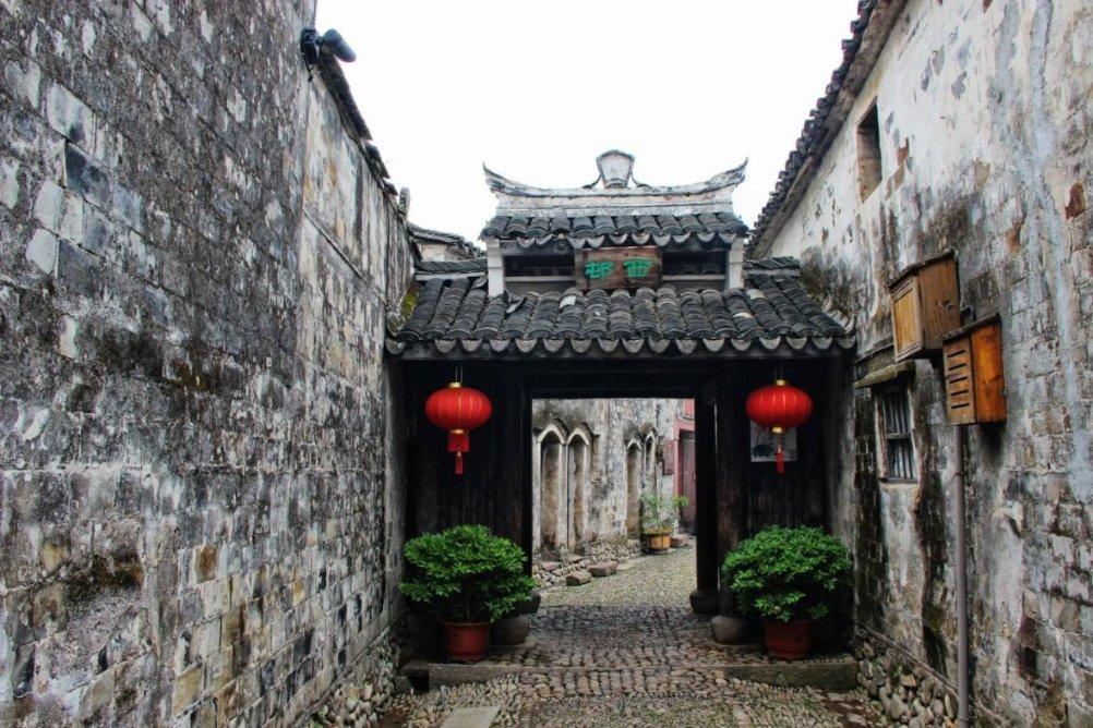 细胞分裂6